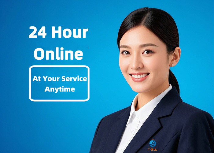Pre-sale service—24 hour online