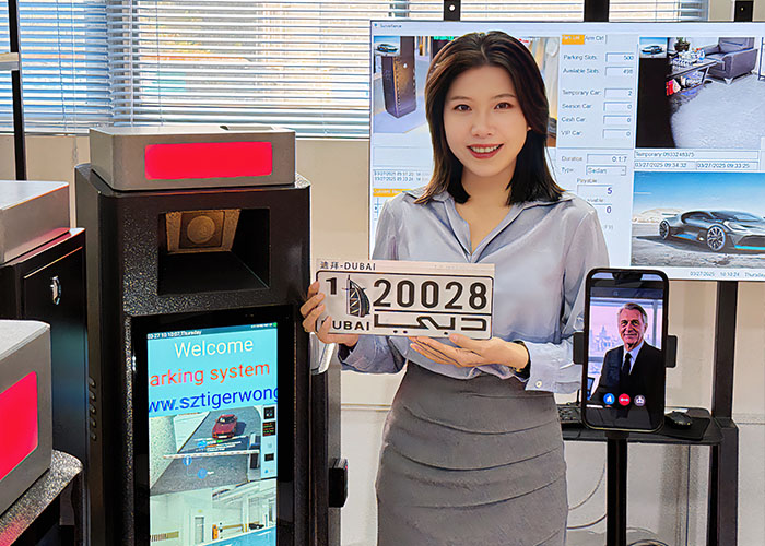 Pre-sale service—Online video