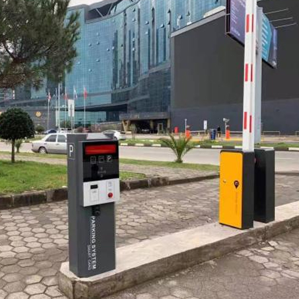 Vương quốc Georgia