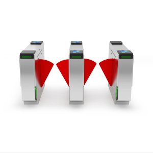 Wing/Wings Turnstile Gate - TGW-HC-WT024