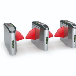 Wing/Wings Turnstile Gate - TGW-HC-WT027